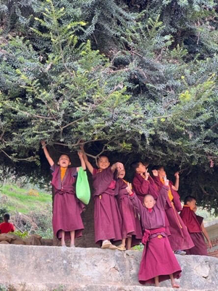 Karma Ngedrub ösel chokhorling, Kathmandou Karma Ngedrub ösel chokhorling, Kathmandou